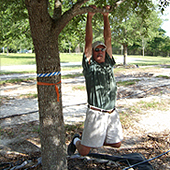 Live oak tree branching